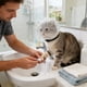 thumbnail image 5 of Bozal multifuncional para gatos, para evitar mordiscos y lametones; collar ajustable y transpirable, 5 of 6