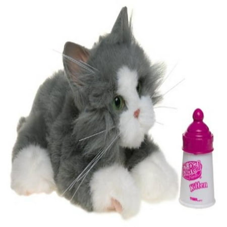 FurReal Friends: Gray Kitten