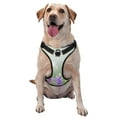 thumbnail image 1 of Kdxio Purple Butterfly On Wild Print No Pull Dog Harness Adjustable Reflective Oxford Easy Control Medium Large Dog Harness for Training and Everyday-Large, 1 of 6