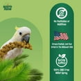 thumbnail image 3 of Worlds Freshest GMO-Free, Sun Dried Spray Millet No Stems Only Edible - Tops-Original Bird Treat and Supplement for Pet Birds Parakeets, Cockatiels, Lovebirds and Finches - 5lbs, 3 of 8