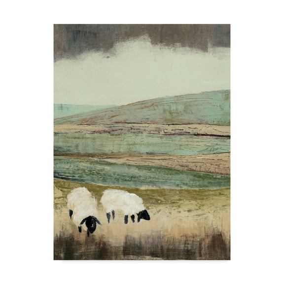 Trademark Fine Art 'Open Meadow II' Canvas Art by Grace Popp