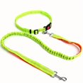 thumbnail image 1 of Make Walks with Your Dog Easier with This Elastic Nylon Dog Leash!, 1 of 5