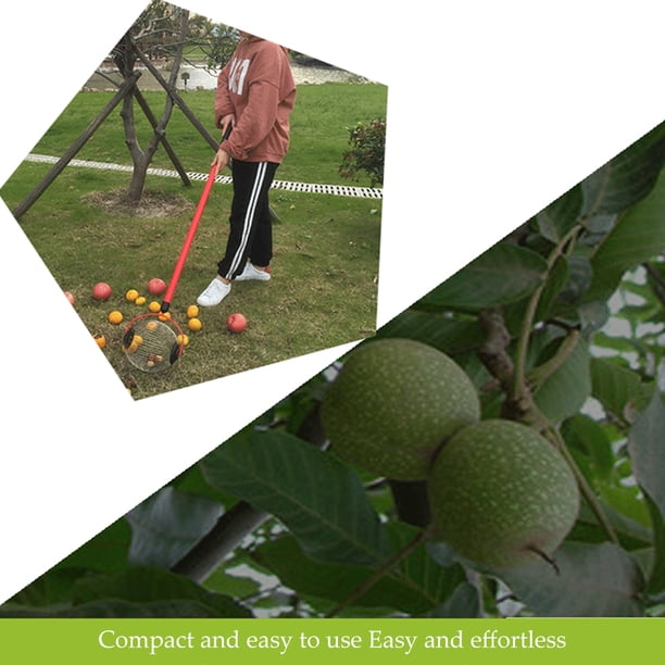 Recolector de nueces ajustable y ligero con ruedas para jardín y césped