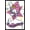 Black Framed Version, variant on Hello Kitty and Friends: 21 Sports - My Melody Rhythmic Gymnastics Wall Poster, 22.375" x 34"