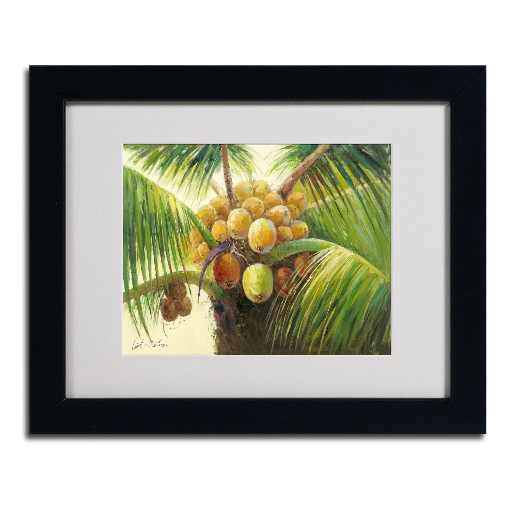 Trademark Fine Art "Coconut Palm II" Canvas Art by Victor Giton, Black Frame