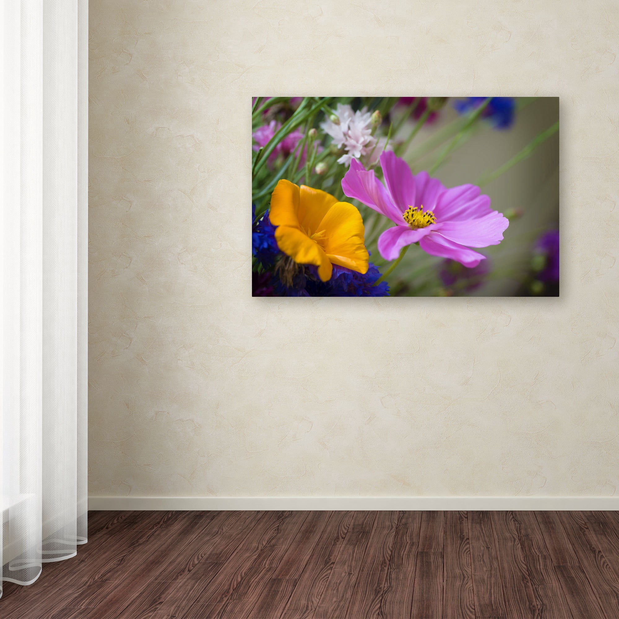 "Cosmos of the Fields" Canvas Art by Philippe Sainte-Laudy