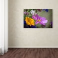 thumbnail image 4 of Trademark Fine Art "Cosmos of the Fields" Canvas Art by Philippe Sainte-Laudy, 4 of 4