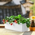 thumbnail image 4 of unbranded 2Pcs Vegetable Flower Pot Plastic Rectangular Planters for Home Gardening Lovers, 4 of 6