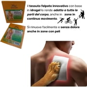 iger Balm Pain Relieving Patch Large 4 Each Pack of 11