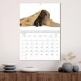 thumbnail image 3 of Labrador puppies (Monthly Wall Calendar 2026 16.5 x 23.4 (open)), CALVENDO 14 Month Calendar, 3 of 9