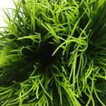 thumbnail image 3 of NICEXMAS Artificial Fish Tank Ornaments Aquarium Accessory Green Plastic 1Pack, 3 of 5