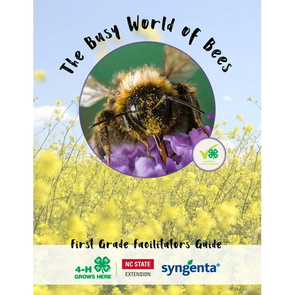 The Busy World of Bees: First Grade Facilitators Guide, (Paperback)