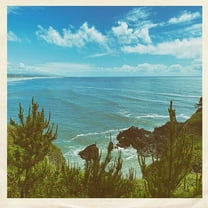 Oilix - Nothing But Summer - Music & Performance - Vinyl [7-Inch]