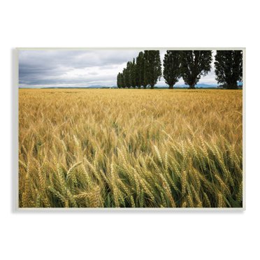 Stupell Industries Wheat Field Harvest Windy Field Country Landscape, 10 x 15, Designed by Nancy Crowell
