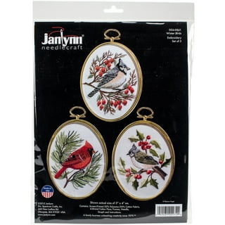 Janlynn Joy In The Journey Counted Cross Stitch Kit 7.75x11.25 Inches 