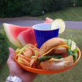 thumbnail image 5 of Assiette de Boisson Alimentaire de Couleur de Ressort de Pomme&44; Pack de 12, 5 of 5