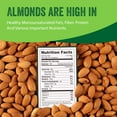 thumbnail image 2 of Raw Whole California Almonds-64 oz-No PPO Non GMO Batch Tested Gluten and Peanut Free Protein Boost-Vegan and Kosher I'M A NUT, 2 of 6