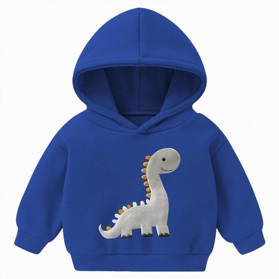 Ccpelsie Sweatshirt Fleece Hooded Pullover for Little/Big Girls Long Sleeve Tops Fall Winter Clothes for Toddler Kids(Blue,5-6 Years)