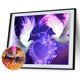 thumbnail image 2 of Diamante pintura amor Animal 5D taladro completo DIY bordado punto de cruz FLhrweasw Nuevo, 2 of 9