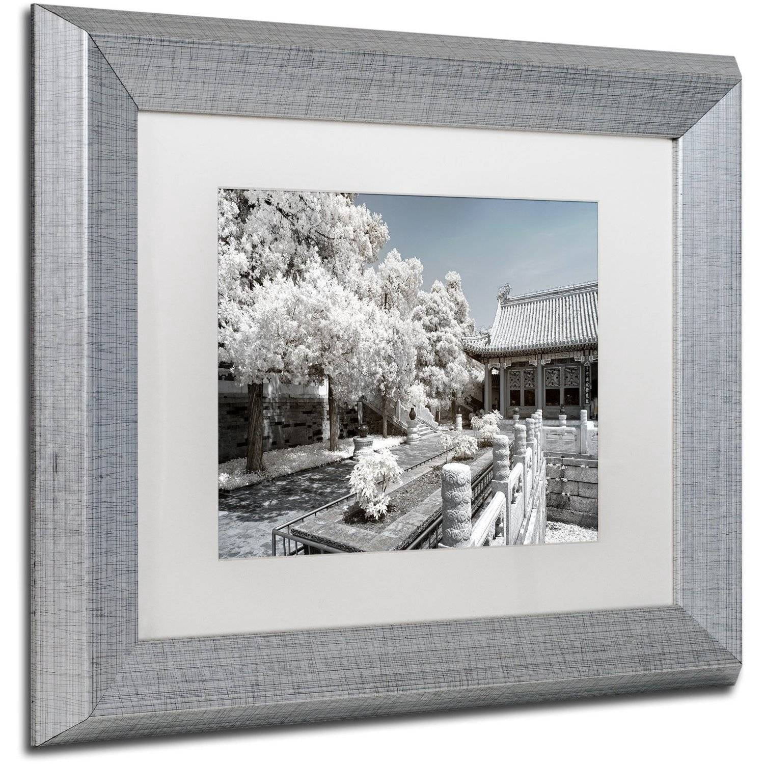 Trademark Fine Art "Reflection" Canvas Art by Philippe Hugonnard, White Matte, Silver Frame