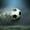 Fast Trail Soccer Ball, variant on Elephant Stock Fast Trail Soccer Ball Wall Art - Horizontal Canvas Wall Art - Living Room Wall Decor - Sports Canvas - Black And White Decor - 12" x 8"