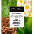 thumbnail image 3 of Corrector Facial Palladio Creme Brule cobertura completa cremosa para unificar el tono de piel y ocu, 3 of 9