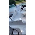 thumbnail image 3 of Marine 31 Mildew Stain Remover & Cleaner - Marine & Boat, Home & Patio, Bathroom & Shower Cleaner (16oz. - Single), 3 of 9