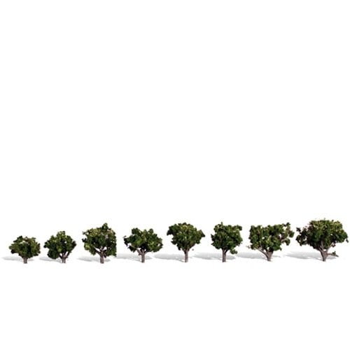 Classics Tree, Sun Kissed .75-1.25" (8)