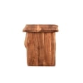 thumbnail image 3 of Taran Designs Live Edge Solid Wood Top/leg End Table in Brown, 3 of 6
