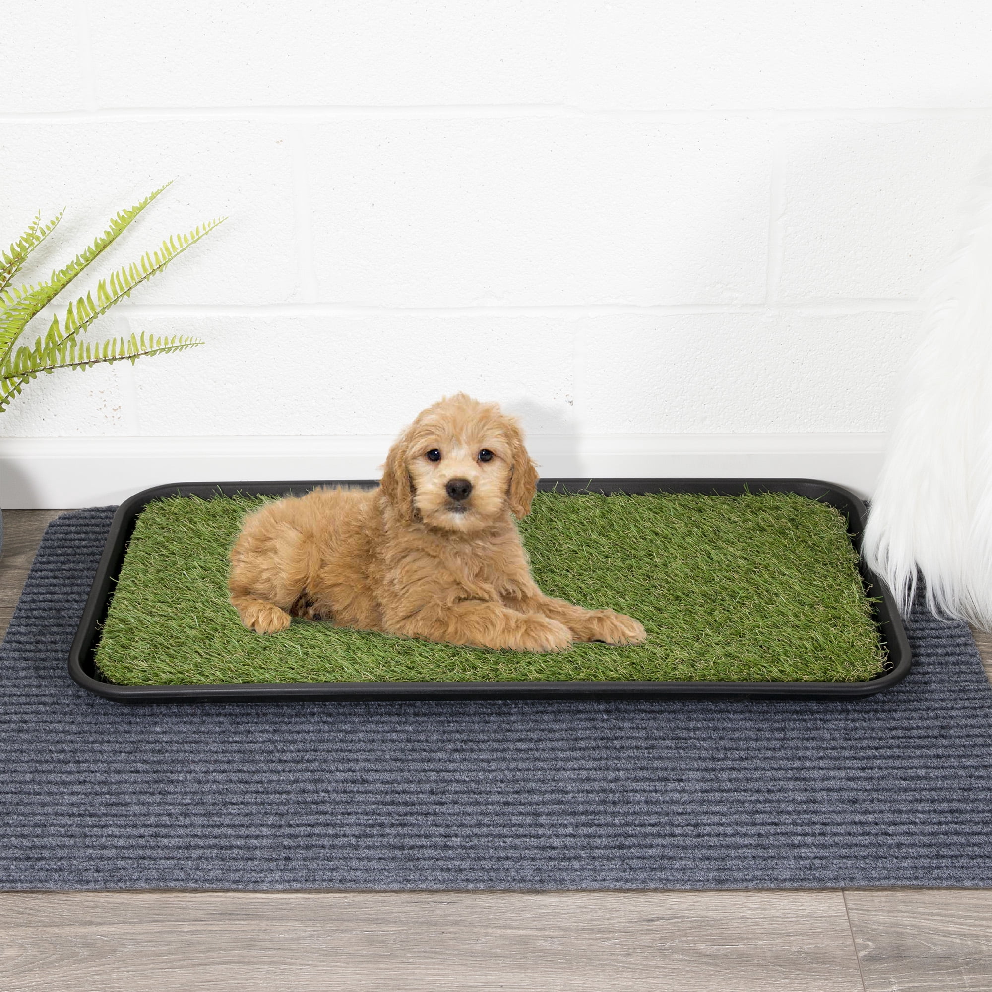 Ottomanson Pet Care Non-Slip Easy Clean Indoor/Outdoor Tray with Reusable Grass Pad, 15" x 30", Green