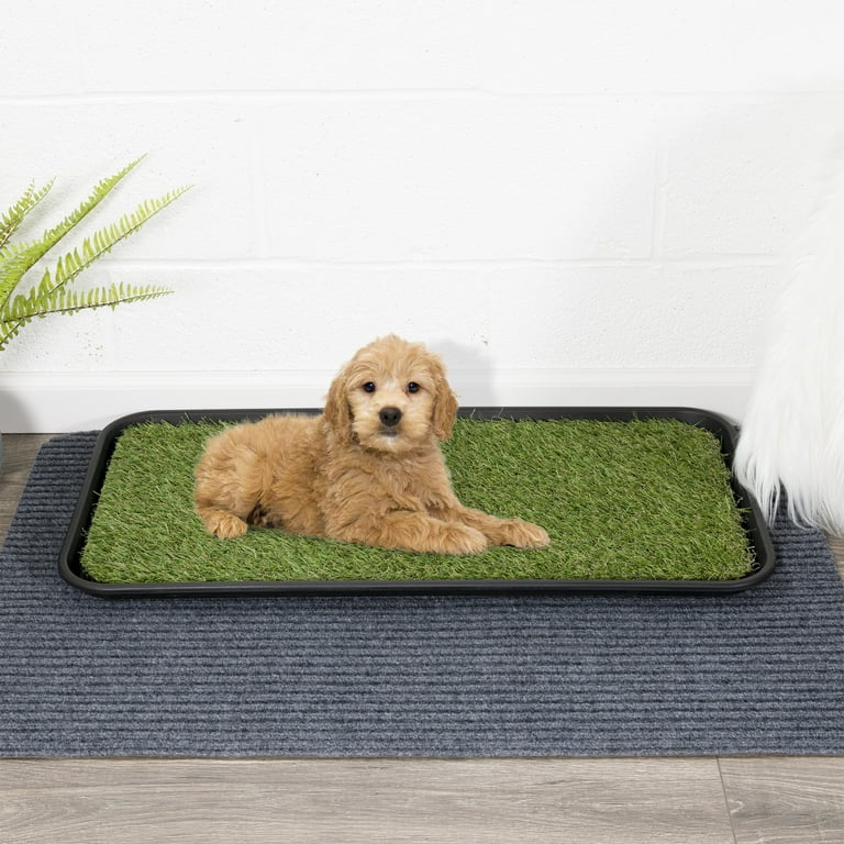 Grass tray cheap for dogs
