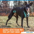 thumbnail image 4 of Walkin' Pets Lift-n-Step Dog Harness for Full Body Support - Aqua - Small, 4 of 8