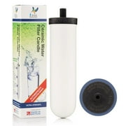 British Berkefeld Doulton 3.17 Gallon W9361137 Countertop Gravity-Fed Water Filtration System Using Ultra Sterasyl Ceramic Filter Candles