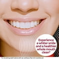 thumbnail image 6 of Colgate 360 Vibrate Whitening Battery Powered Adult Toothbrush, Soft, 1 AAA Battery Included, 6 of 12
