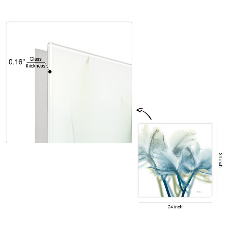  Empire Art Direct Frameless Free Floating Tempered Glass Panel  Graphic Wall Art Ready to Hang, 24 x 24, Mineral Rings I : Everything Else