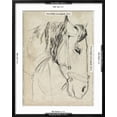 thumbnail image 5 of Art.com Horse in Bridle Sketch I Art Print by Jennifer Parker, Black Frame Wall Art, 23" x 29", 5 of 5