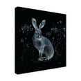 thumbnail image 2 of Trademark Fine Art 'Woodland Walk XIII Rabbit' Canvas Art by Lisa Audit, 2 of 3
