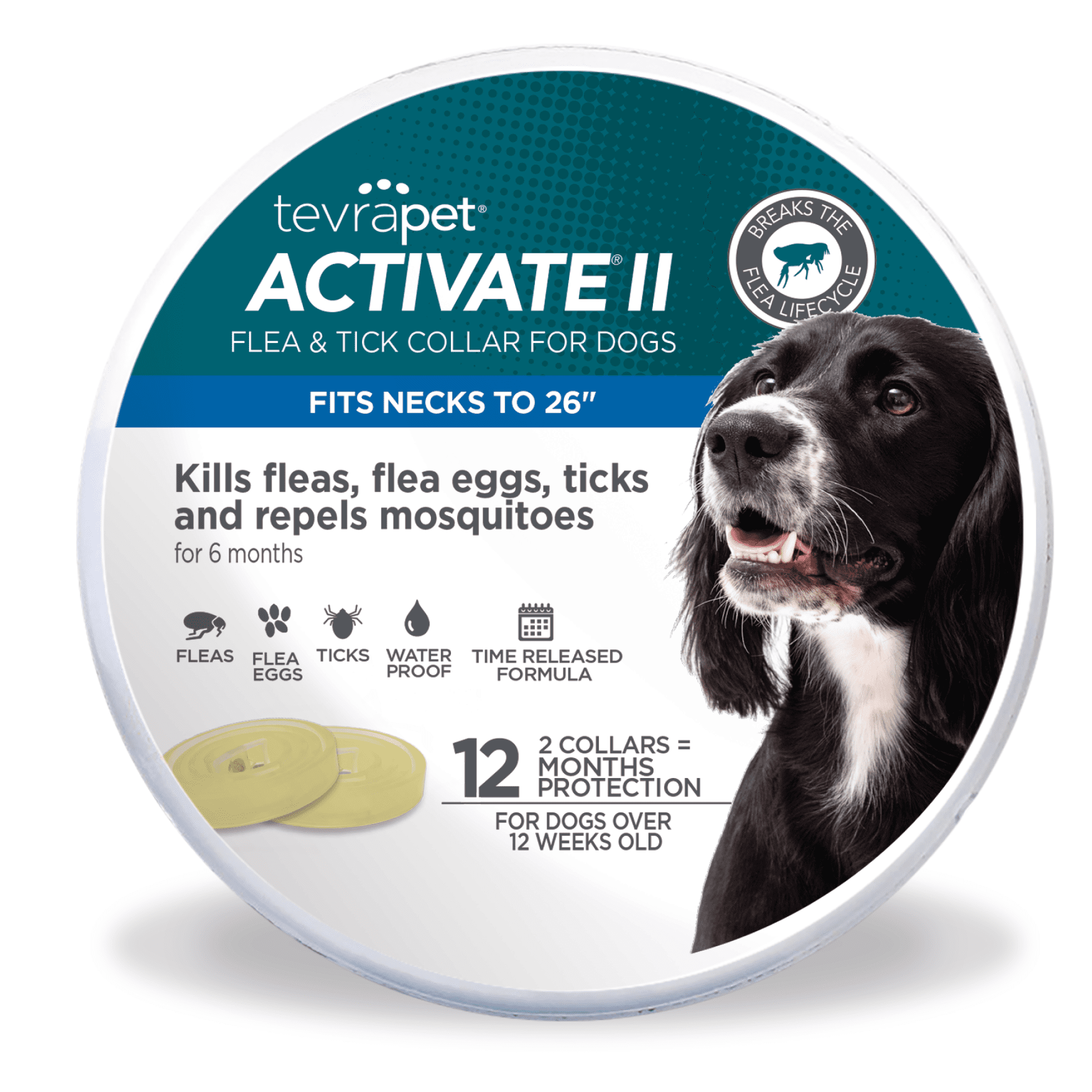 Activate II Flea and Tick Collar for Dogs, 12 Months of Flea and Tick