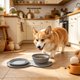 thumbnail image 1 of Cuenco plegable doble para mascotas con protuberancias de alimentación lenta, plato portátil de silicona para comida y agua para perros y gatos pequeños y medianos, ideal para viajes y almacenamiento., 1 of 9