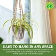 thumbnail image 2 of Macrame Plant Hanger with Short Rope (No Tassel) - 23 Inch - Cotton Macrame Cord for Boho Decor Flower Pots - Bohemian Chic Home Decor, Simple Indoor Outdoor Hanging Houseplants or Terrarium | Parent, 2 of 10