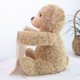 thumbnail image 2 of CHAO will hide and seek peekaboo electric stuffed toy teddy bear play hide and seek cute cartoon stuffed children birthday Christmas gifts, 2 of 5