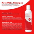 thumbnail image 5 of VetWELL Chlorhexidine Shampoo for Dogs & Cats – Cleansing Pet Shampoo for Skin & Coat Care – 8 oz, 5 of 6