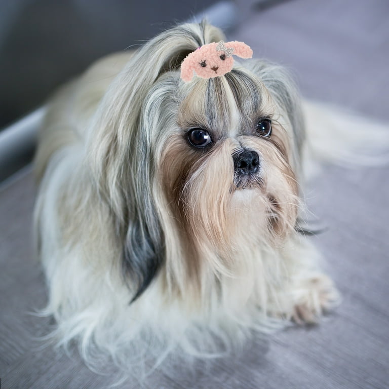Shih Tzu Dogs With Hair Bows Shih Tzu Hair Bands Bows For Dogs