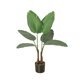 thumbnail image 5 of Planta artificial decorativa en maceta para la decoración del hogar y la sala de estar. Palma viajera, 5 of 9