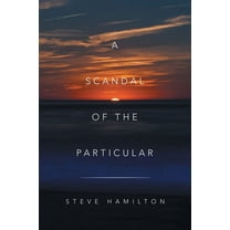 A Scandal of the Particular (Paperback) by Steve Hamilton
