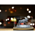 thumbnail image 4 of Stunning Moose Deer Engraved on Crystal Collectible | Best Wildlife Decorative Gift, 4 of 7