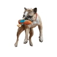 thumbnail image 2 of Bark Off Track Kayak Plush Dog Toy, 2 of 2