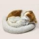 thumbnail image 5 of Muñeca de peluche de gato que respira - Juguete realista para gato dormido, 5 of 7