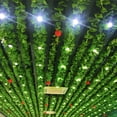 thumbnail image 1 of Planta trepadora de ratán artificial, planta de tigre, hoja de uva, hoja verde, flor falsa de plástico, tubería de agua, enredadera enrollable, decoración de techo, 1 of 2