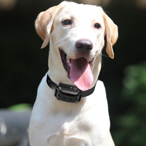 Valla Inalámbrica Para Perros Valla inalámbrica para perros, práctica valla eléctrica para perros, útil valla Invisible para perros